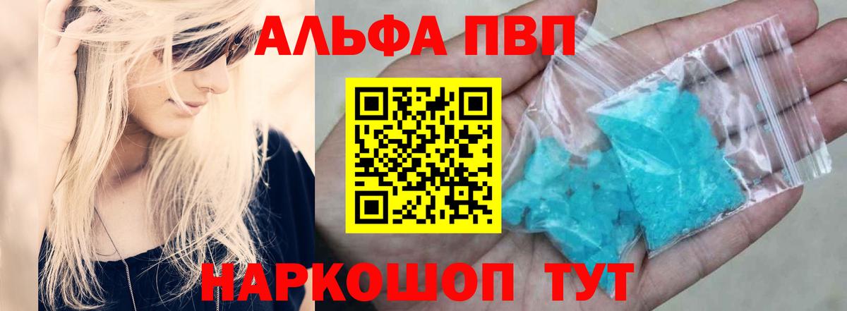 Alfa_PVP СК Йошкар-Ола