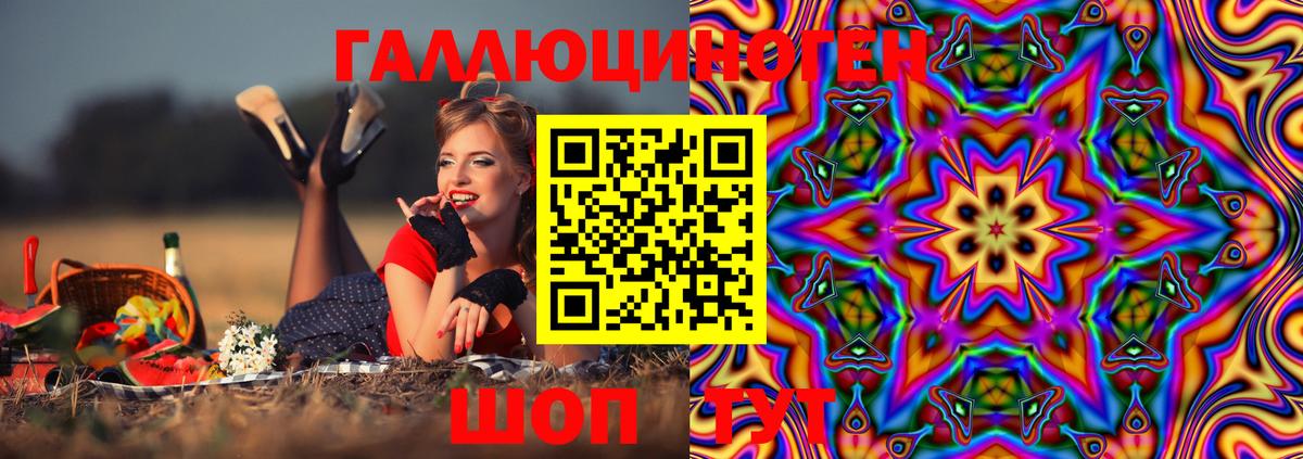 Галлюциногенные грибы GOLDEN TEACHER  Псилоцибиновые грибы Psilocybe  Йошкар-Ола  где купить наркоту  Вход с VPN 