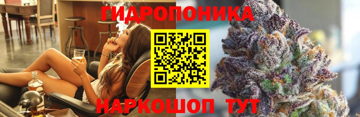 Конопля тримм  Марихуана план  Вход с VPN  Йошкар-Ола 